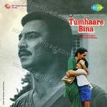 Tumhaare Bina - Gurpreet Kaur Song Download